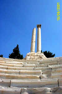 website pics0003.jpg (19399 bytes)