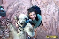 website pics0012.jpg (301132 bytes)