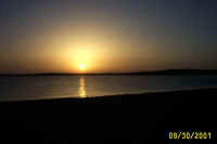 website pics0018.jpg (352108 bytes)