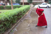 Squeegielady2.JPG (51410 bytes)